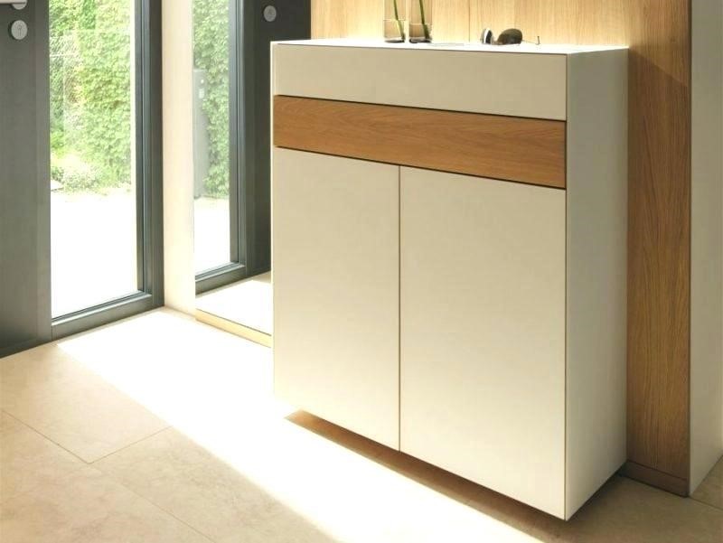 Tủ giày Acrylic cao cấp.